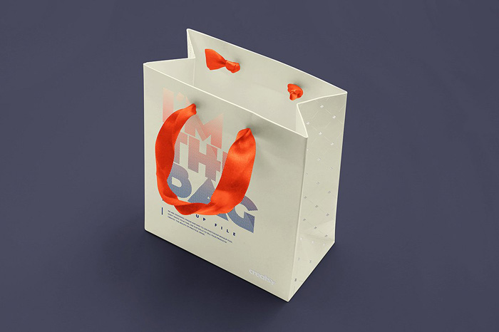 Gift Bag Mockup Set