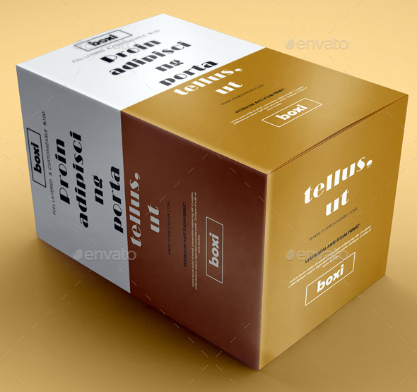 Rectangle Mockup Packaging