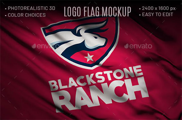 Logo Flag Mockup