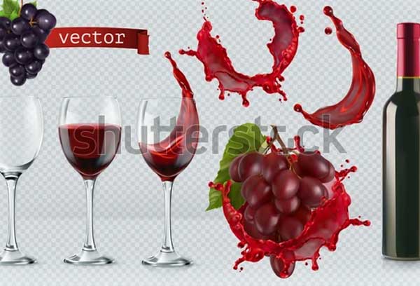 Red Wine Bottle Vector Glass