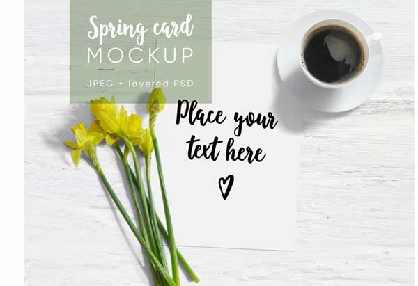 Mini Spring Card Mockup Template