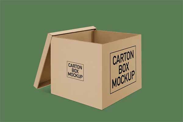 Sample Carton Box PSD Mockup